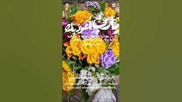 آية الكرسي أعظم آية و سيدة آيات سورة البقرة.