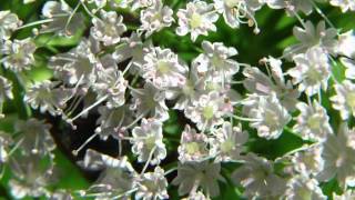 Ouverture - Néon Soundtrack - Jonathan Rochat