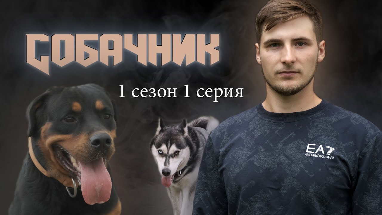 Собачник в машине