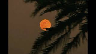 {FREE} Spiritual Jazz Type Beat "Arabian Moon"