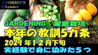 【XYOSSIYのライフチャンネル】2021年家庭果樹栽培で得た教訓５つ