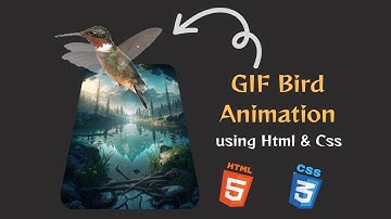 Gif Bird Animation using Html & Css with source code