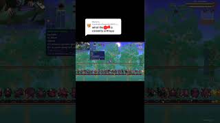 What is Calamity Entropy #gaming #terrariagameplay #terraria #mods #calamitymod #addon
