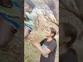shyama ka jhula 🤩😂