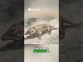 The CUTEST Dinosaur Was Actually a HUNTER 🐔🦖 #shorts #dino #facts