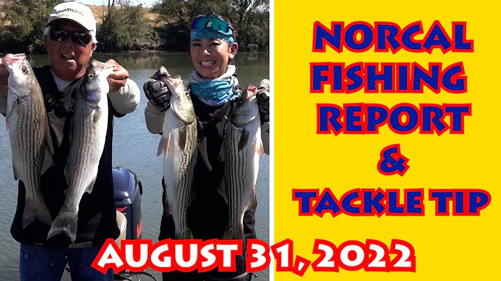 What's Biting? NORCAL WEEKLY FISHING REPORT + Tack...