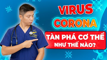 PHÒNG CHỐNG DỊCH - Virus Corona Tàn Phá Cơ Thể Như Thế Nào - Tại Sao Người Trẻ Khỏe Vẫn Tử Vong