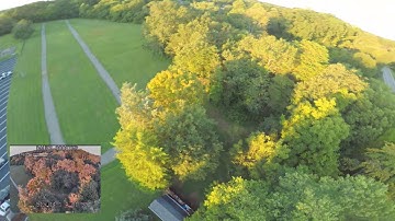 Rdq mach 3 vtx fixed issue