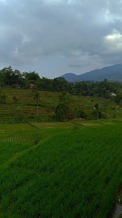 Bandung Berasa Garut #suasanapedesaan #shorts #pemandanganindah #bandung