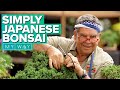 Simply Japanese Bonsai | My Way