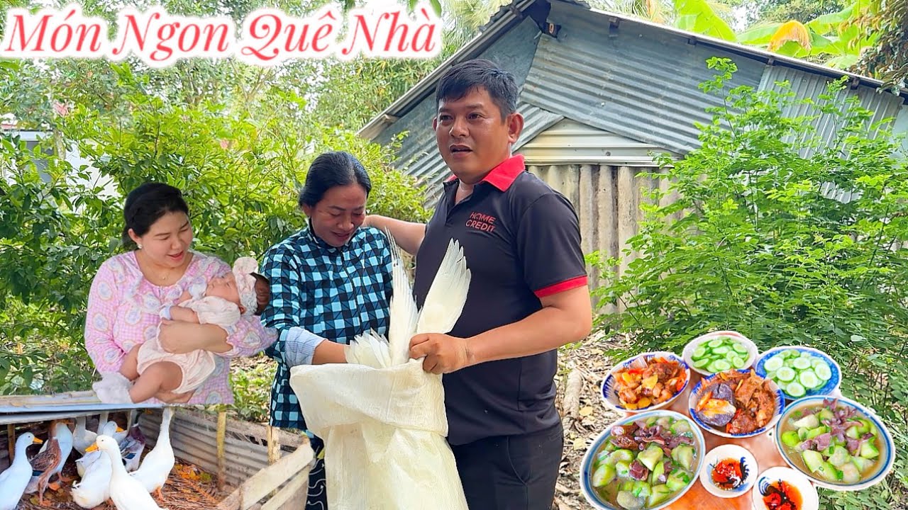 Cha Kể Kí Ức “Mùa Lũ Năm 96” Khi Về Chòi Bất Ngờ Nước Dâng Cao Ngập Cả Sân | MTQH