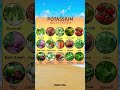 Potassium Rich Foods