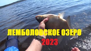 Лемболовское озеро рыбалка 2023. Фидер на Лемболовском озере.