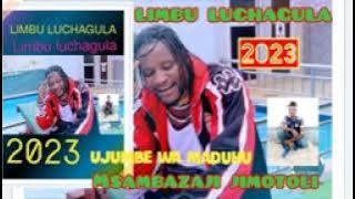 Limbu luchagula ufunguzi wa Guest ya Maduhu _Lwenge studio Mpya 2023