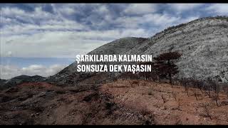 TEMA Vakfı - Akdeniz Akşamları #DahaYanmadan