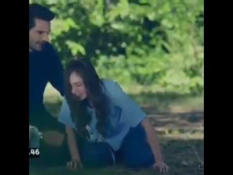 محبوبي ضاع اغنيه توجع الكلب