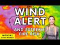 Strong winds & extreme fire danger | Daily Forecast Australia