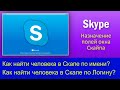 Назначение полей Скайпа  Как найти человека в скайпе по имени  Как найти человека в скайпе по логину
