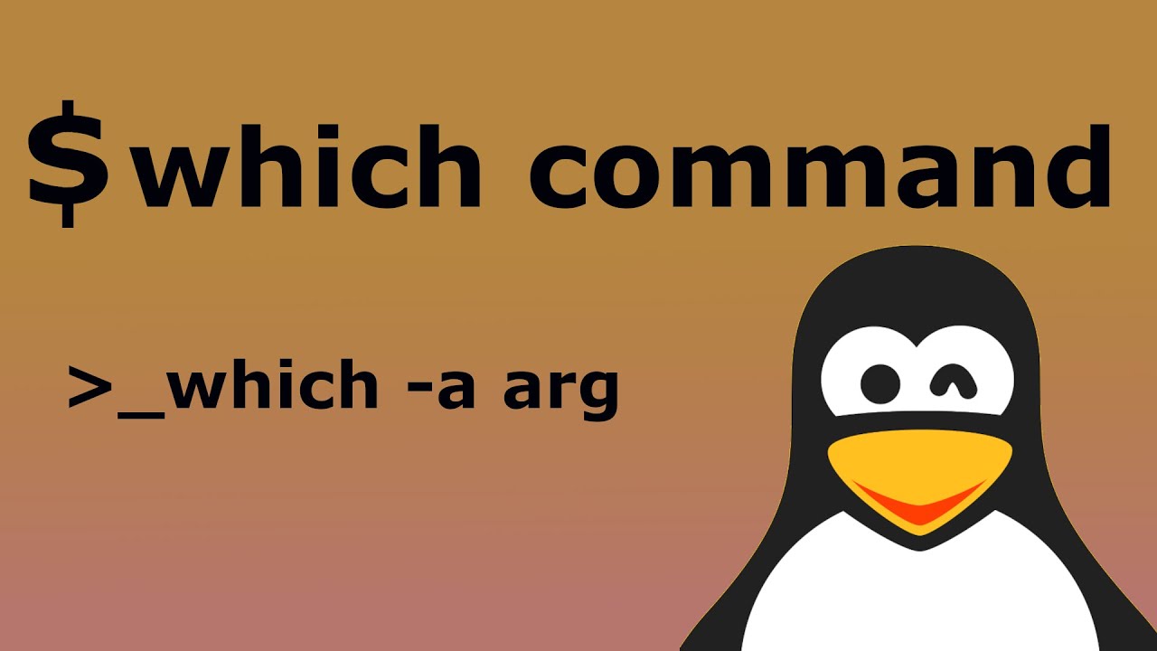 Linux Which command. - YouTube