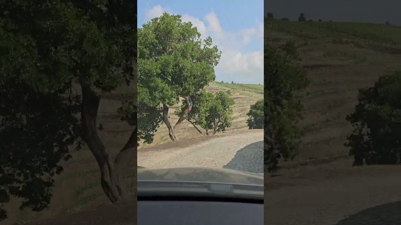 Drive down to Quinta do Bom Retiro