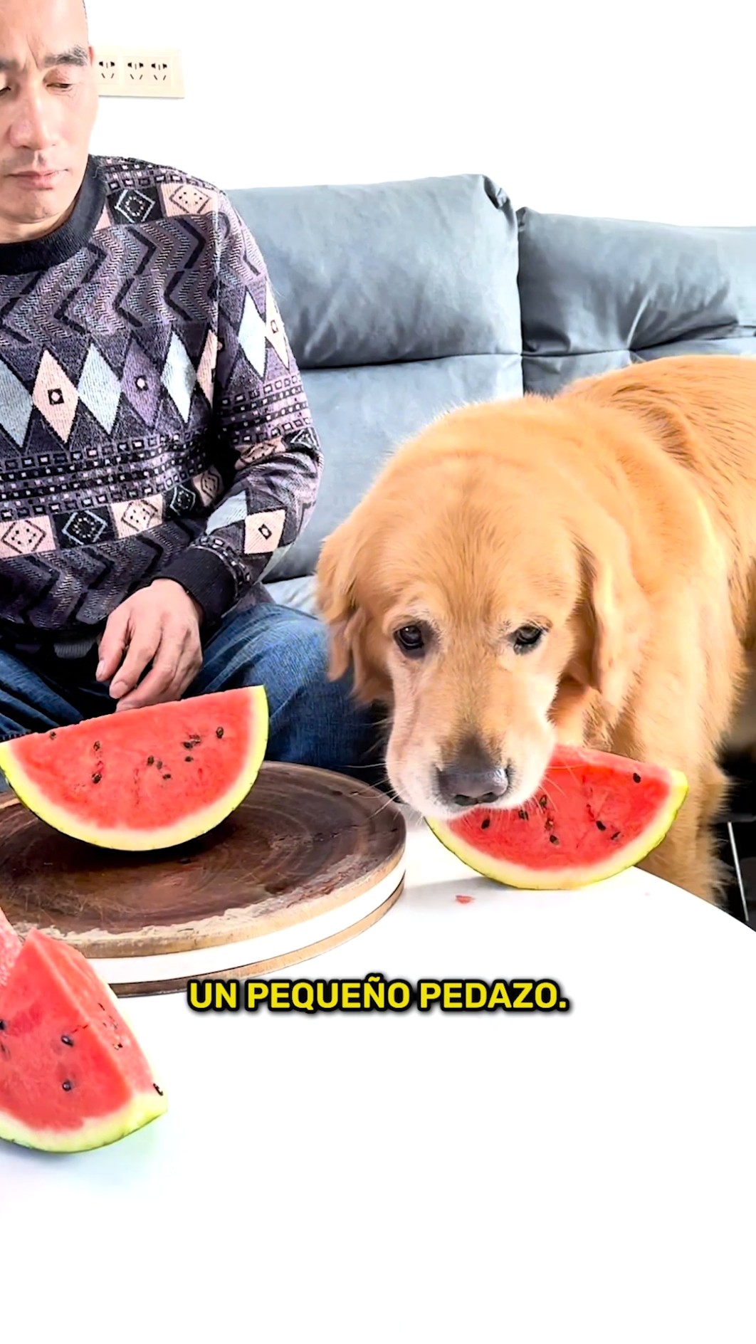 Este perrito hizo algo INESPERADO con la sandía… ??