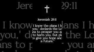 #todaysbibleverse #bibleverse #bibleinspiration #faith #bible #godisgood #scripture #wordofgod #love