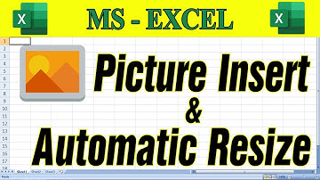 How To Insert Picture and Auto Resize in Excel Cell | Excel Table Me Picture Kaise Lagaye