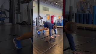 Bear Plank + Down Dog Toe Touches
