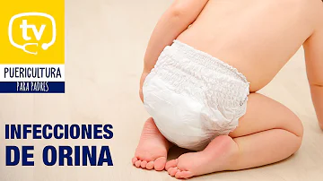¿Cuáles son los síntomas de la infección de orina en los bebés?