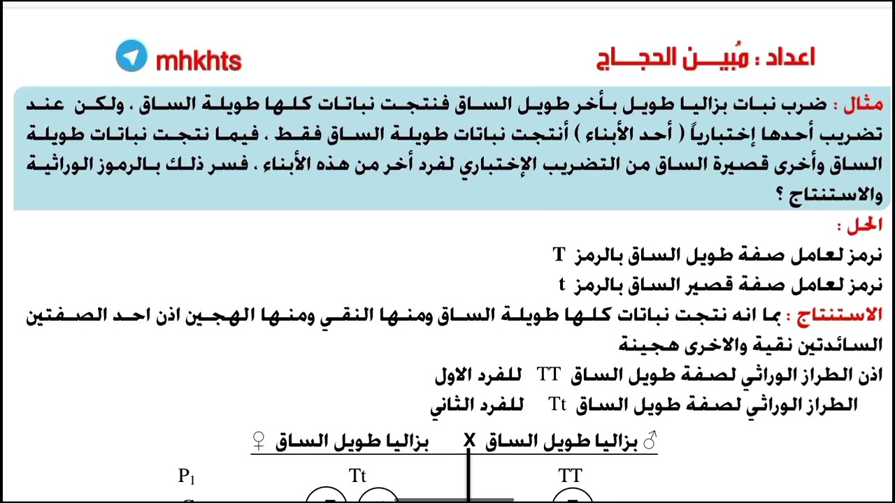 وزاري مهم جداً عن التضريب الاختباري || أحياء السادس العلمي || الأستاذ مُبين الحجاج