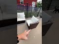 Outdoor 7pc Sectional patio furniture coach and chairs on TikTok deal.