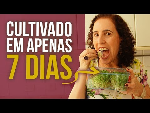 Vídeo: Como Usar Os Brotos Para A Alimentação