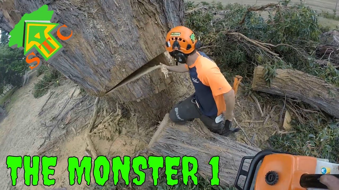 MONSTER TREE