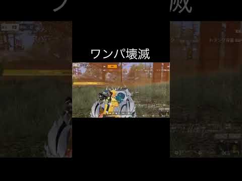 【荒野行動】 ワンパ壊滅 #荒野行動 #shorts 