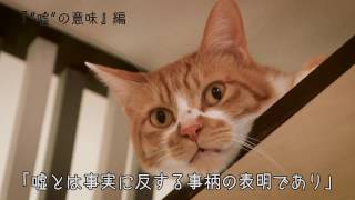 96猫 新シングル 嘘の火花 Cm映像特別編を限定公開 サイン入りポスターのプレゼント企画も Spice エンタメ特化型情報メディア スパイス