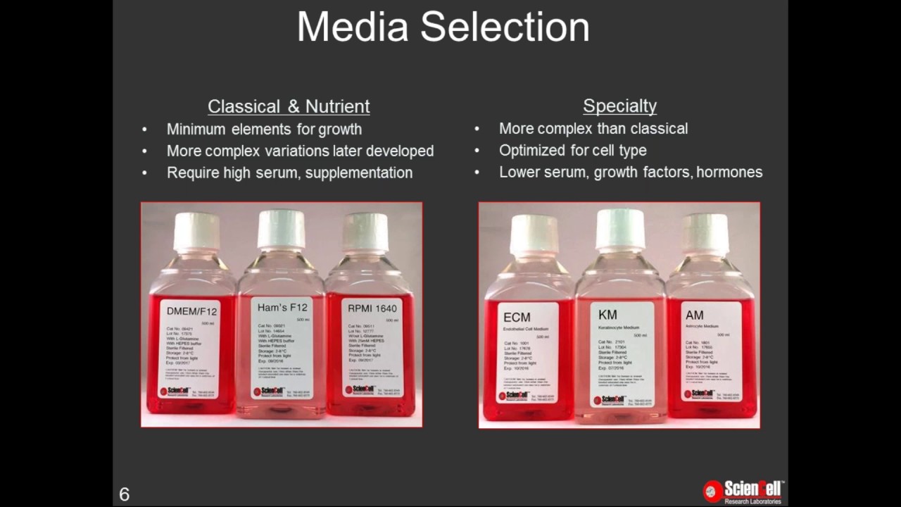 Discover the benefits of specialty media