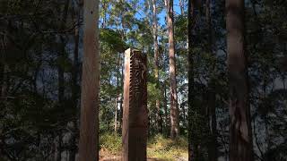 Best Bushwalks On The Coffs Coast