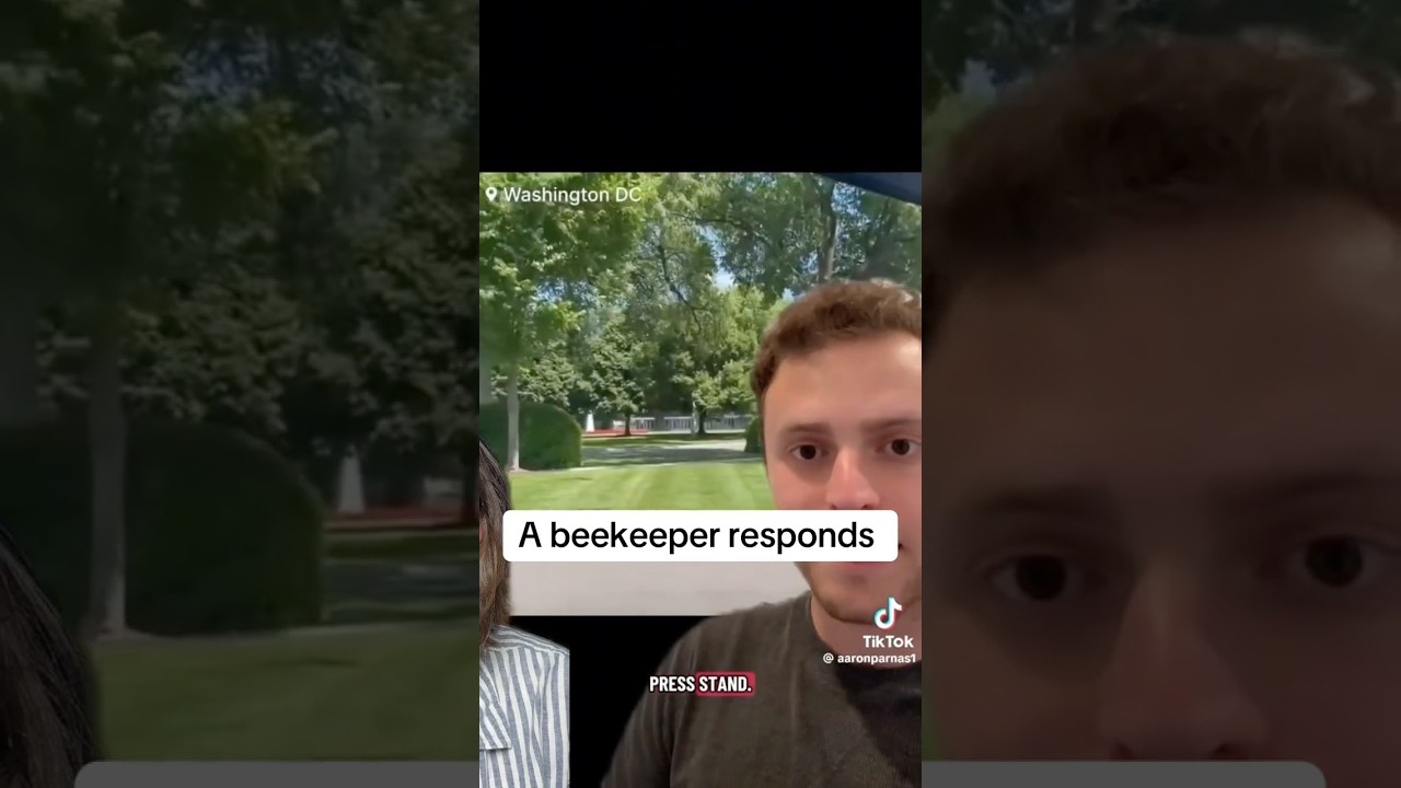 Bee Swarm Behavior and Colony Reproduction