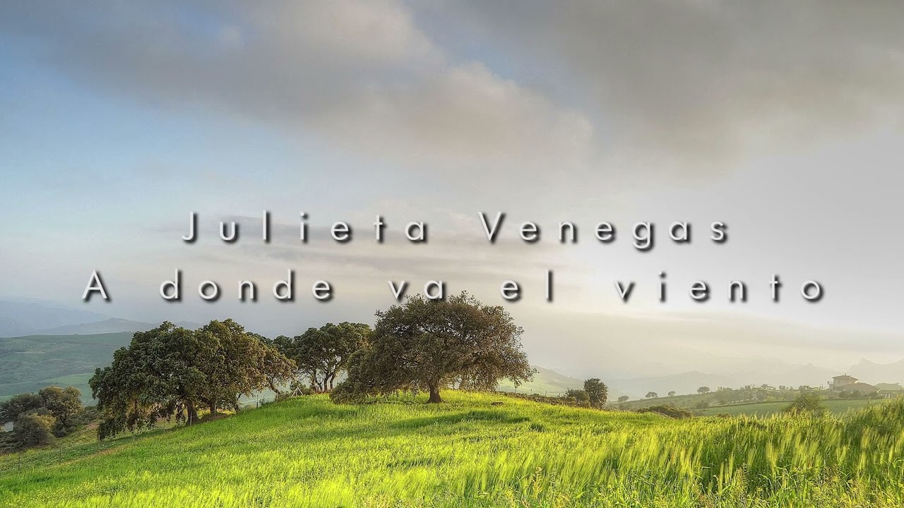 Julieta Venegas - A donde va el viento | (Slowed + Reverb)