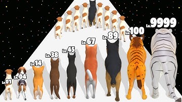 Animal Race Dog Evolution - Level Up Animal Max Level Gameplay
