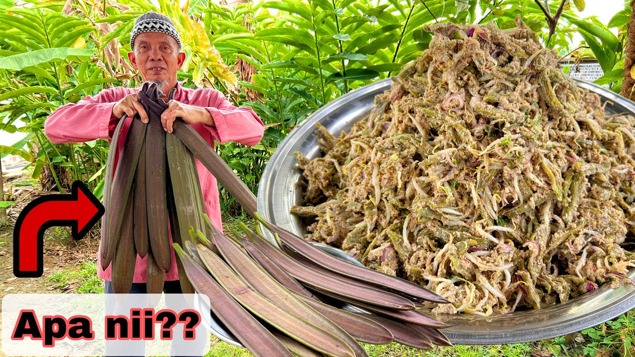 POKOK BUAH BEKA BUAT KERABU ❓❓ Bikin selera makan