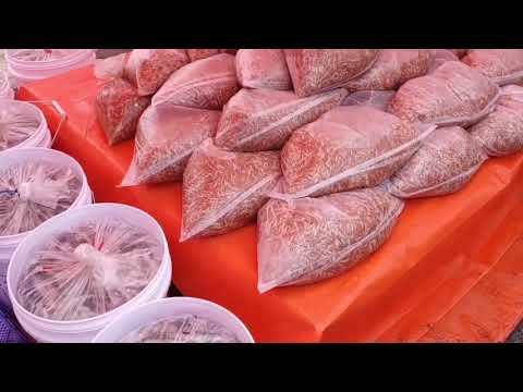 187회. 새우젓 담을려 생새우사러 소래포구 다녀왔습니다. ❤