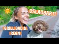 DETTA ÄR OSLAGBART | VLOGG