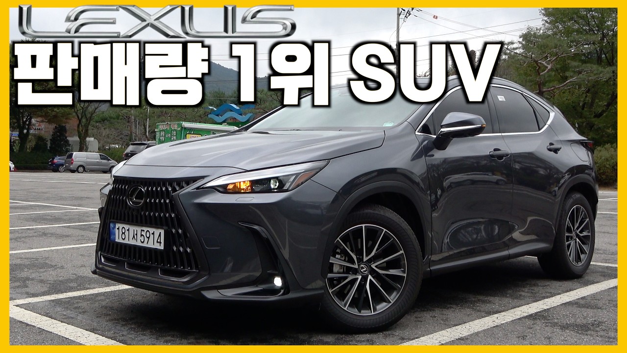 네이버 인플루언서