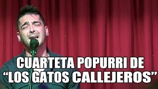 Cuarteta  Popurri 'Los Gatos Callejeros' por 'Arturo de Barbate' La Posada de Millan, Algeciras