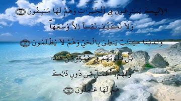 سورة المؤمنون * ورش * الكوشي