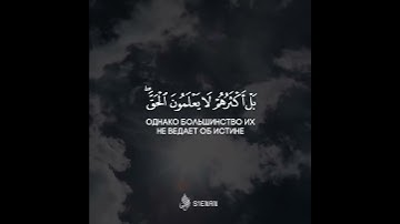 القارئ  فهد المطيري🌴🌴