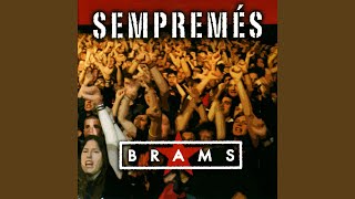 Video thumbnail of "Brams - L'últim tirabol"