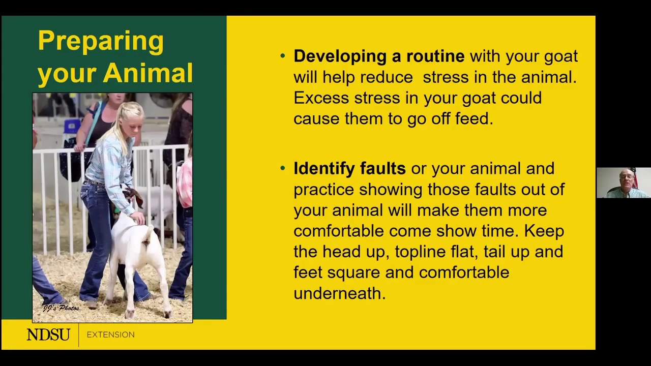 North Dakota 4-H Goat Showmanship Virtual Clinic - YouTube