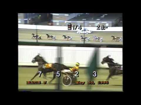 2000年フェブラリーステークス ウィングアロー - YouTube